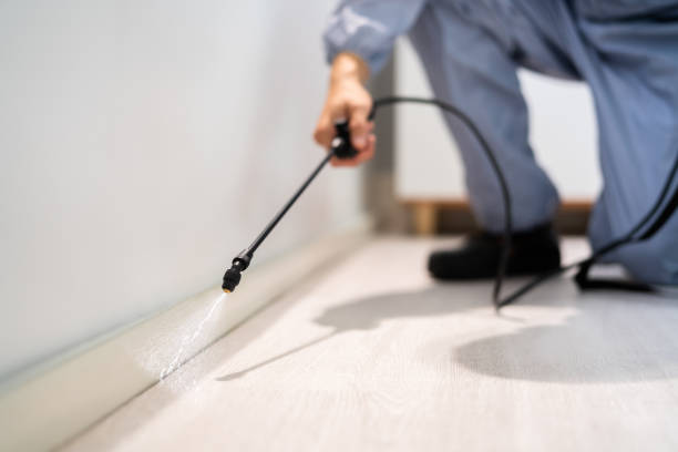 Licensed Pest Control service in Moosup, CT - Nex Pest Control