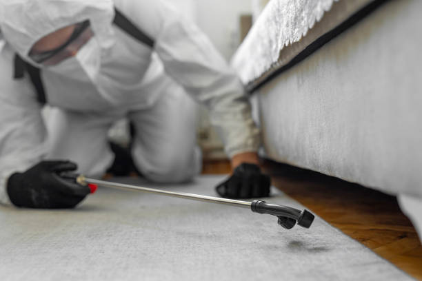 Professional Pest Control technician working in Moosup, CT