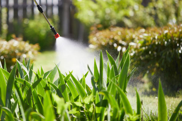 24/7 Emergency Pest Control experts in Moosup, CT