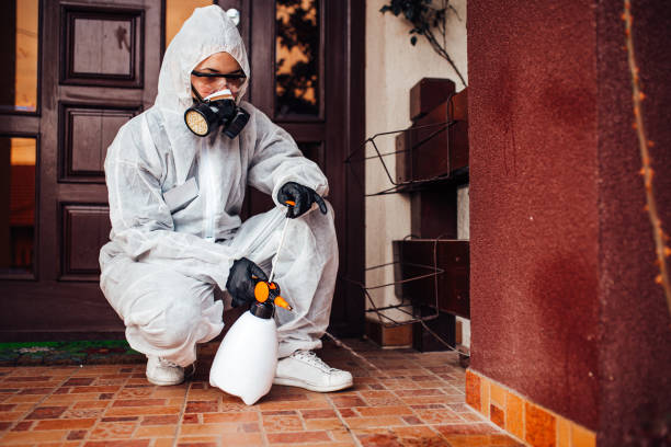 Reliable Pest Control contractor in Moosup, CT by Nex Pest Control