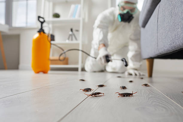 Affordable Pest Control solutions in Moosup, CT